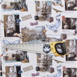 Fabric Harry Potter Hogwarts | Wolf Fabrics
