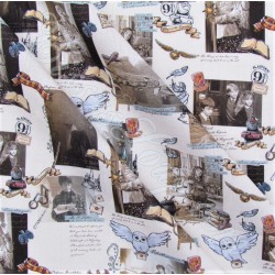 Fabric Harry Potter Hogwarts | Wolf Fabrics