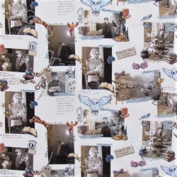 Fabric Harry Potter Hogwarts | Wolf Fabrics