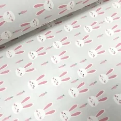 Rabbit and Carrot Fabric