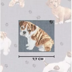 Cotton fabric with yorkshire breed dogs, Jack Russel, Carlin, Bouleget, Bichon, Schnauzer and Pinscher | Wolf Fabrics