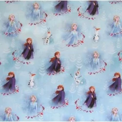 Fabric Frozen The snow queen Anna and Elsa  Disney| Wolf Fabrics