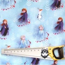 Fabric Frozen The snow queen Anna and Elsa Disney | Wolf Fabrics