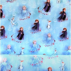 Fabric Frozen The snow queen Anna and Elsa  Disney | Wolf Fabrics