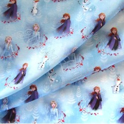 Fabric Frozen The snow queen Anna and Elsa  Disney | Wolf Fabrics