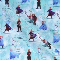 Fabric Frozen Elsa Anna and Kristoff Disney | Wolf Fabrics