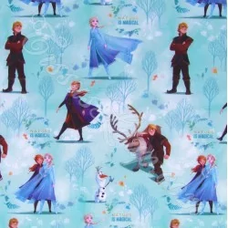 Fabric Frozen Elsa Anna and Kristoff Disney | Wolf Fabrics