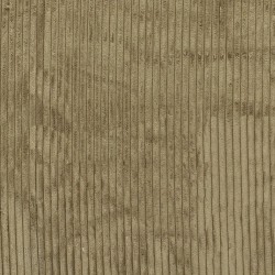 Dark Sand Corduroy Fabric with very wide ribs 11 mm | Wolf Fabrics