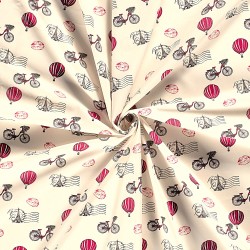 Fabric Paris on a bike and hot air balloon ride | Wolf Fabrics